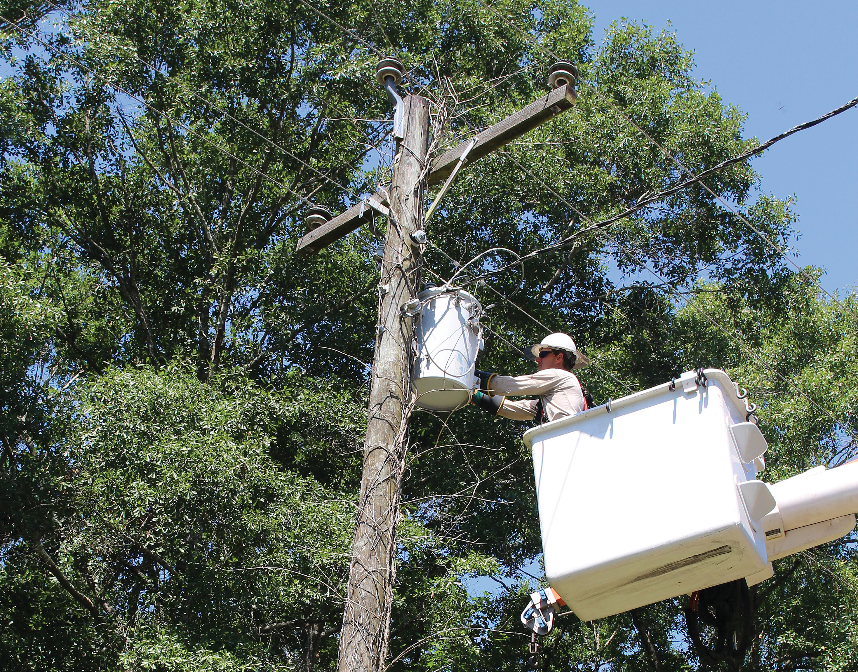 photo for Voltage Upgrades in the Westville Area Should Improve Reliability and Service to Members